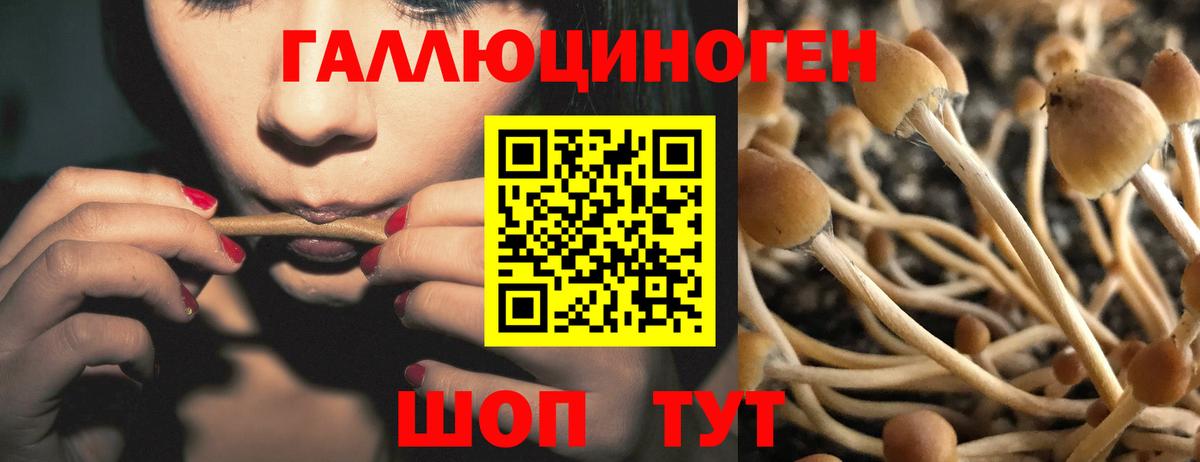 Михайловка  Галлюциногенные грибы GOLDEN TEACHER  Вход с VPN 
