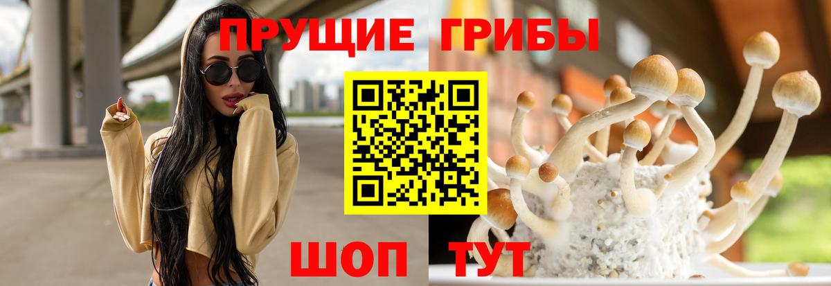 Галлюциногенные грибы ЛСД Михайловка